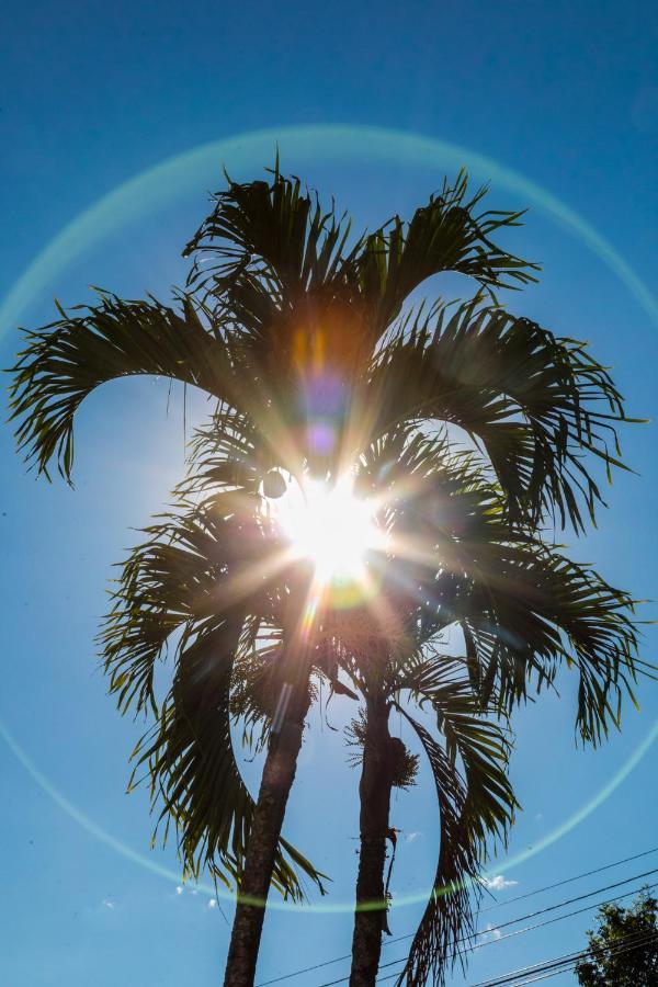 Hotel Palma Verde El Edén Eksteriør bilde